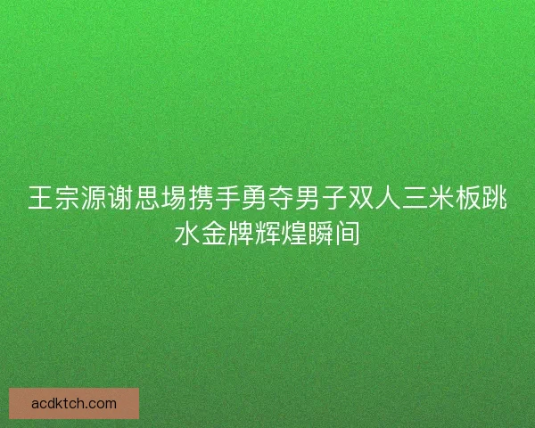 王宗源谢思埸携手勇夺男子双人三米板跳水金牌辉煌瞬间