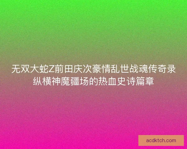 无双大蛇Z前田庆次豪情乱世战魂传奇录纵横神魔疆场的热血史诗篇章